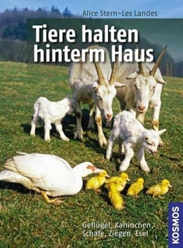 Tiere halten hinterm Haus: Geflügel, Kaninchen, Schafe, Ziegen, Esel - Alice Stern-Les Landes