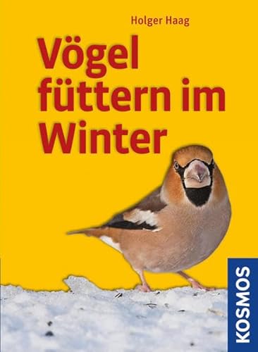 Stock image for Vgel fttern im Winter for sale by medimops