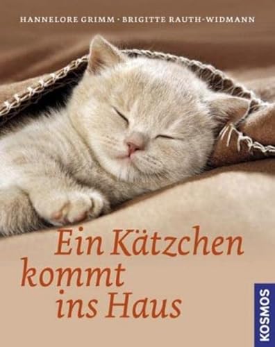 Stock image for Ein Ktzchen kommt ins Haus for sale by medimops