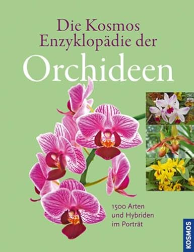 Beispielbild fr Die Kosmos Enzyklopdie der Orchideen: 1500 Arten und Hybriden im Portrt zum Verkauf von medimops