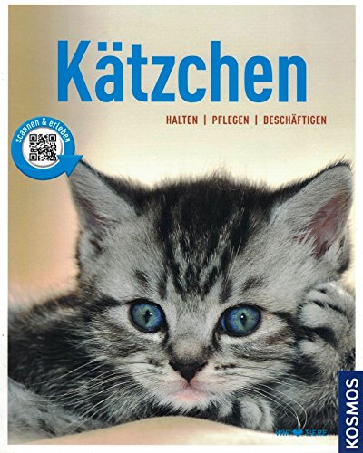 Stock image for Ktzchen: Halten, pflegen, beschftigen for sale by medimops