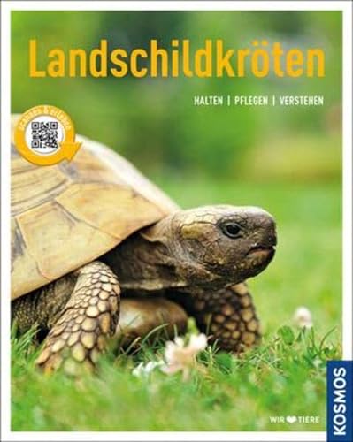 Stock image for Landschildkrten: halten, pflegen, verstehen (Mein Tier) for sale by medimops