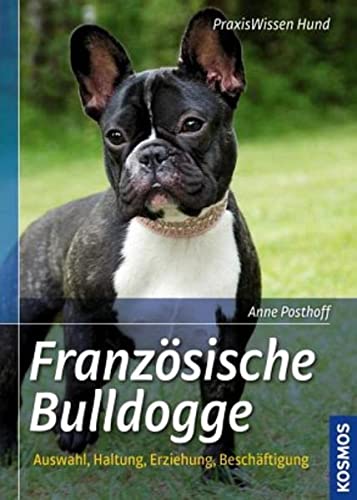 Stock image for Franzsische Bulldogge: Auswahl, Haltung, Erziehung, Beschftigung for sale by medimops