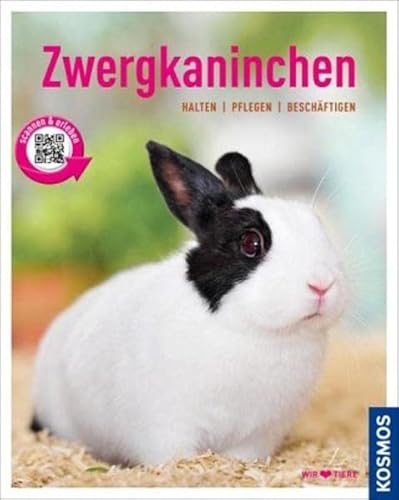 Zwergkaninchen: halten, pflegen, beschäftigen (Mein Tier) - Beck, Angela