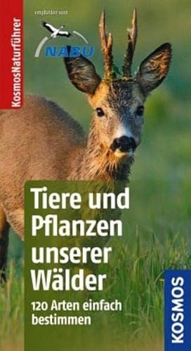 Tiere und Pflanzen unserer Wälder - 120 Arten einfach bestimmen - Wilhelmsen, Ute