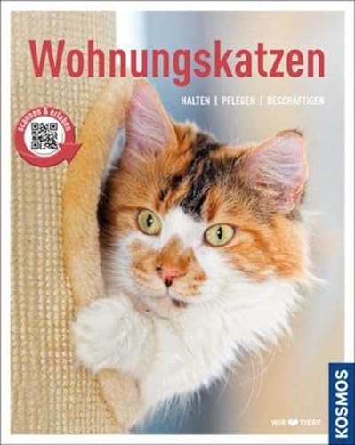 Stock image for Wohnungskatzen: halten, pflegen, beschftigen (Mein Tier) for sale by medimops