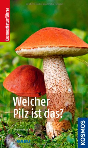 9783440137482: Welcher Pilz ist das?