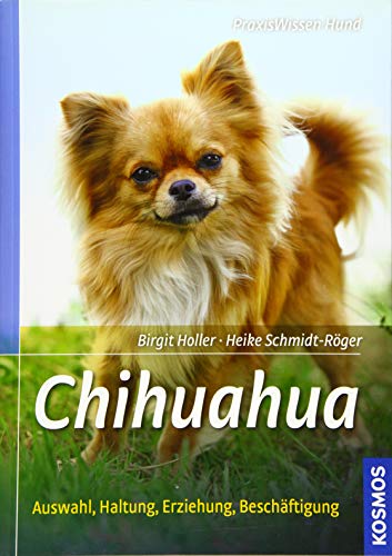 Stock image for Chihuahua: Auswahl, Haltung, Erziehung, Beschftigung (Praxiswissen Hund) for sale by medimops
