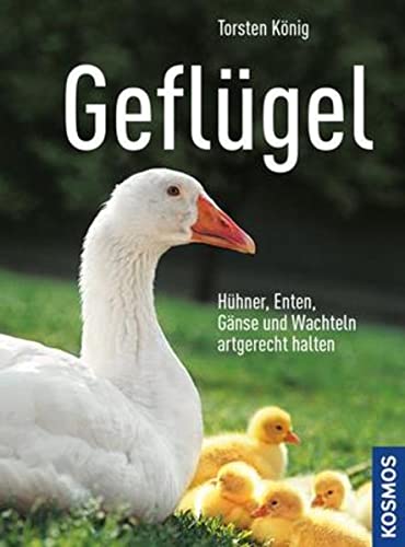 Stock image for Geflgel: Hhner, Enten, Gnse und Wachteln artgerecht halten for sale by medimops