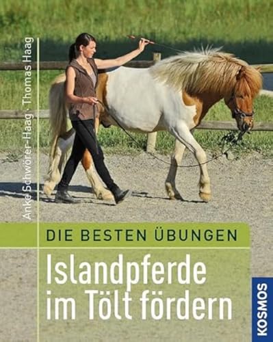 Imagen de archivo de Beste bungen: Islandpferde im Tlt frdern a la venta por medimops