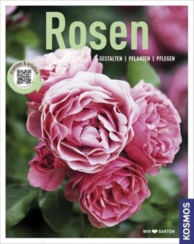 Stock image for Rosen: Gestalten, pflanzen, ernten for sale by medimops