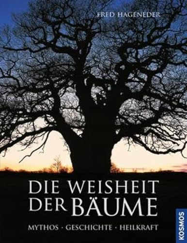 Stock image for Die Weisheit der Bume: Mythos, Geschichte, Heilkraft for sale by medimops