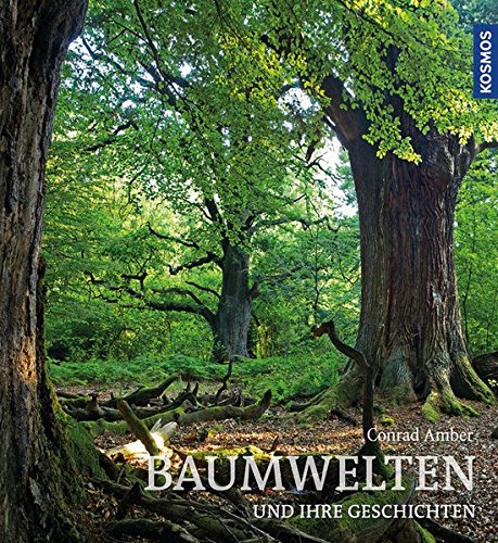 Stock image for Baumwelten: und ihre Geschichten for sale by medimops