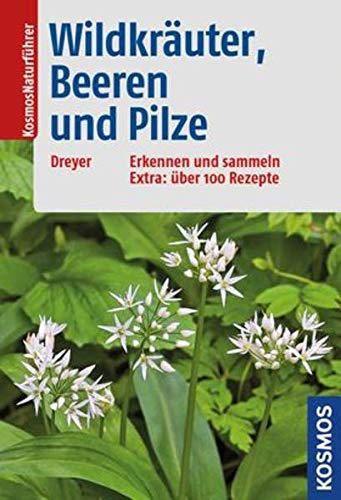 Stock image for Wildkruter, Beeren und Pilze: Erkennen und sammeln Extra: ber 100 Rezepte for sale by medimops