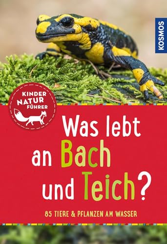 Stock image for Was lebt an Bach und Teich? Kindernaturfhrer -Language: german for sale by GreatBookPrices