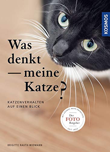 Was denkt meine Katze? Katzenverhalten auf einen Blick - Rauth-Widmann, Brigitte