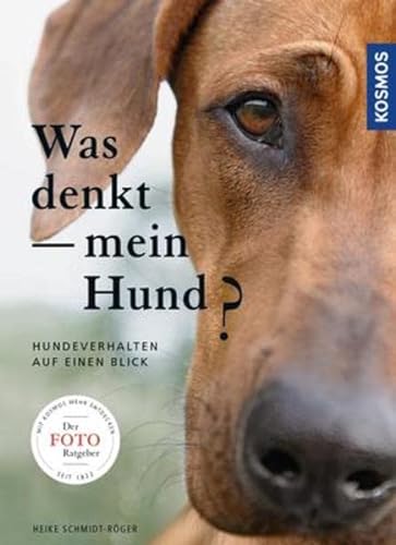 Imagen de archivo de Was denkt mein Hund?: Hundeverhalten auf einen Blick a la venta por medimops