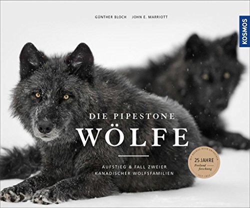 Beispielbild fr Die Pipestone-Wlfe: Aufstieg und Fall zweier kanadischer Wolfsfamilien zum Verkauf von medimops