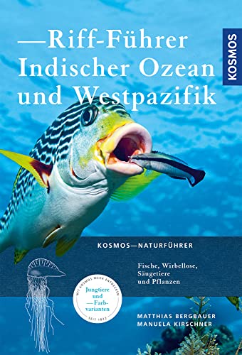 Stock image for Riff-Führer Indischer Ozean und Westpazifik -Language: german for sale by GreatBookPricesUK