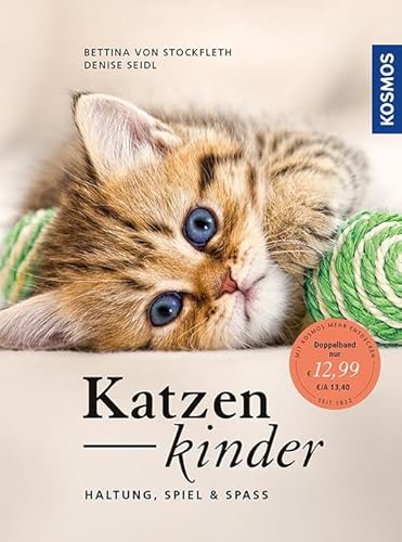 Stock image for Katzenkinder: Haltung, Spiel & Spa for sale by medimops