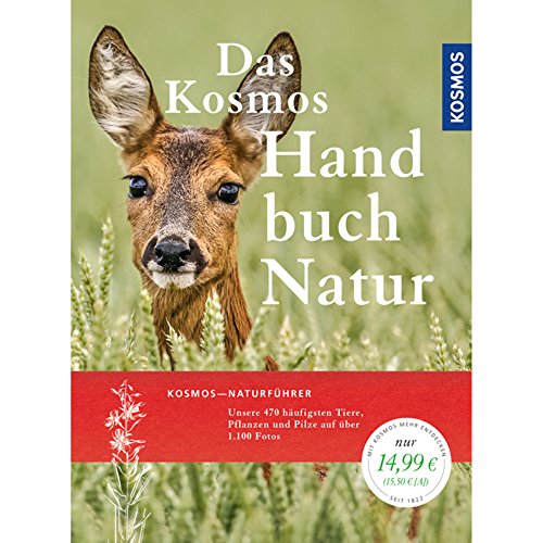 Stock image for Handbuch Natur: Tiere, Pflanzen und Pilze kennen lernen for sale by medimops