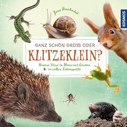 Stock image for Ganz schn gro oder klitzeklein?: Unsere Tiere in Haus und Garten in voller Lebensgre for sale by medimops