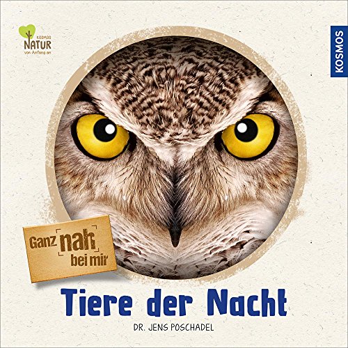 Stock image for Ganz nah bei mir - Tiere der Nacht for sale by medimops