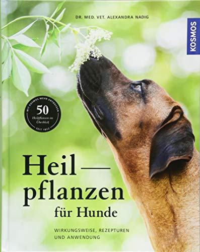 Stock image for Heilpflanzen fr Hunde -Language: german for sale by GreatBookPrices