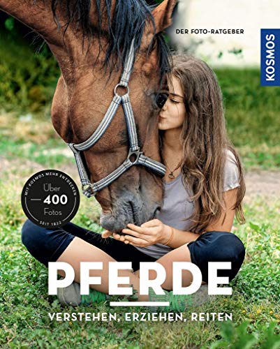 Stock image for Pferde verstehen, erziehen und reiten for sale by medimops