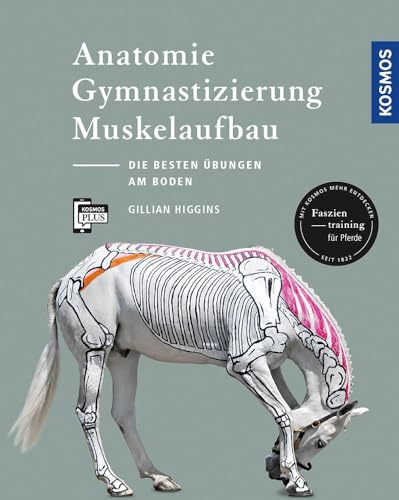 9783440157442: Anatomie, Gymnastizierung, Muskelaufbau: Die besten bungen fr Pferde am Boden