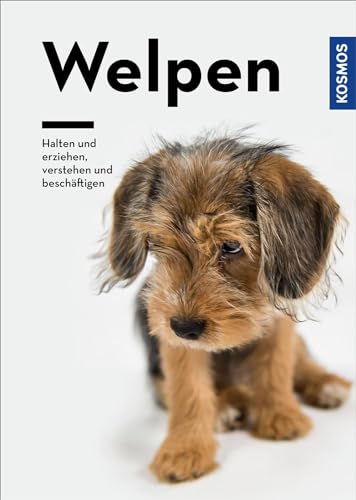 Stock image for Welpen: Halten und erziehen, verstehen und beschftigen for sale by Revaluation Books