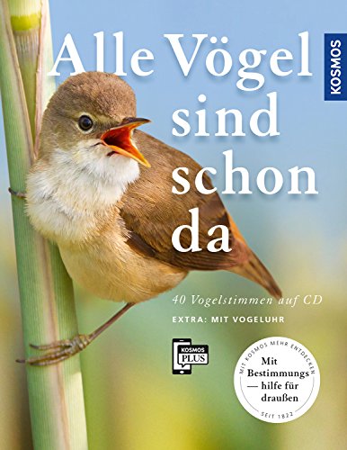 Stock image for Alle Vgel sind schon da for sale by medimops
