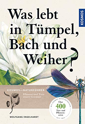 Stock image for Was lebt in Tmpel, Bach und Weiher? -Language: german for sale by GreatBookPrices