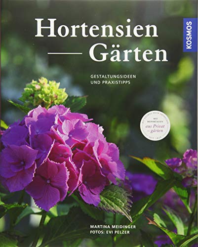 Imagen de archivo de Hortensien-Grten: Gestaltungsideen und Praxistipps aus erster Hand a la venta por medimops