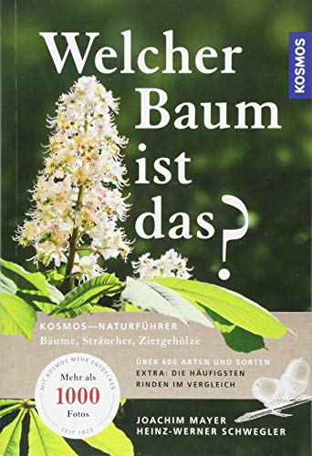 Stock image for Welcher Baum ist das? -Language: german for sale by GreatBookPrices
