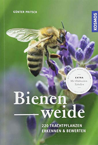 Stock image for Bienenweide for sale by Blackwell's