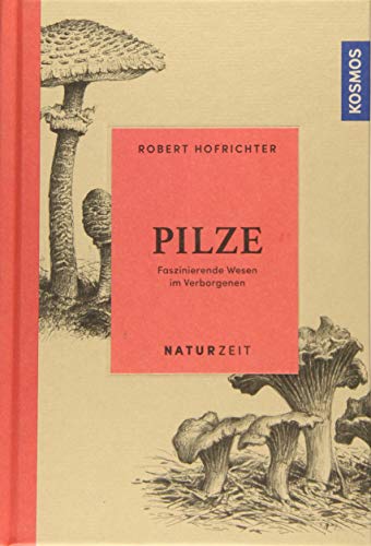 9783440162774: Naturzeit Pilze: Faszinierende Wesen im Verborgenen