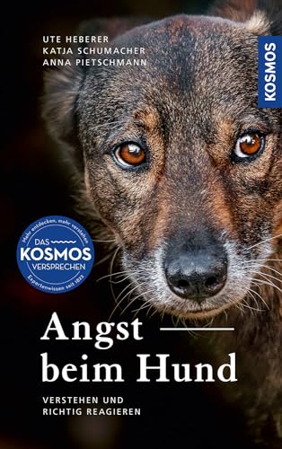 Stock image for Angst beim Hund: Erkennen, verstehen und richtig reagieren for sale by Revaluation Books