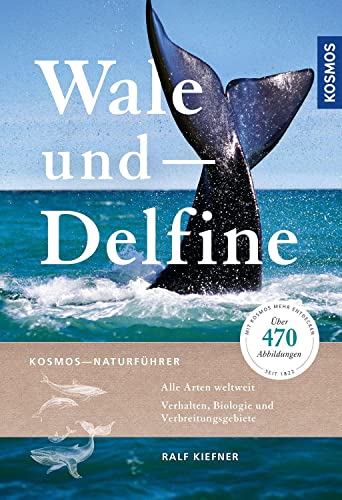 Beispielbild fr Wale und Delfine zum Verkauf von Blackwell's