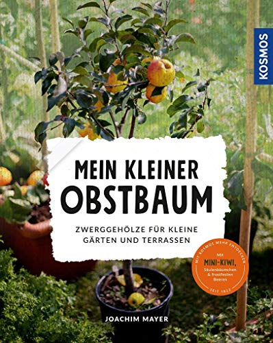 Imagen de archivo de Mein kleiner Obstbaum: Zwerggehlze fr kleine Grten und Terrassen a la venta por medimops