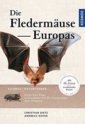 Beispielbild fr Naturfhrer Fledermuse Europas: Alle Arten erkennen und sicher bestimmen zum Verkauf von medimops