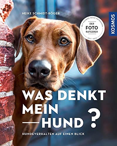 Imagen de archivo de Was denkt mein Hund? -Language: german a la venta por GreatBookPrices