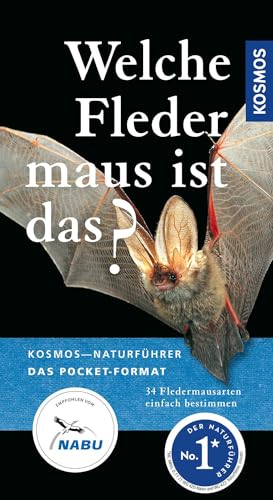 Stock image for Welche Fledermaus ist das? -Language: german for sale by GreatBookPrices