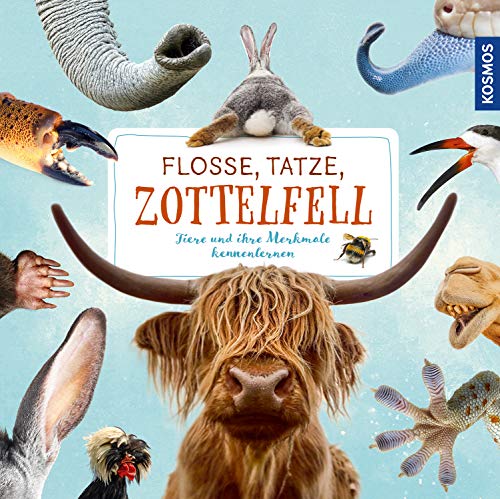 Imagen de archivo de Flosse, Tatze, Zottelfell: Tiere und ihre Merkmale kennenlernen a la venta por medimops