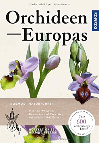 Beispielbild fr Orchideen Europas zum Verkauf von Blackwell's