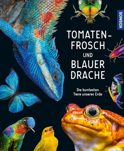 Imagen de archivo de Tomatenfrosch und blauer Drache: Die buntesten Tiere unserer Erde a la venta por medimops