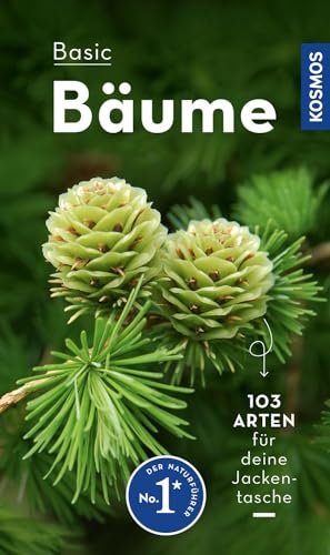 Stock image for BASIC Bume for sale by GreatBookPrices