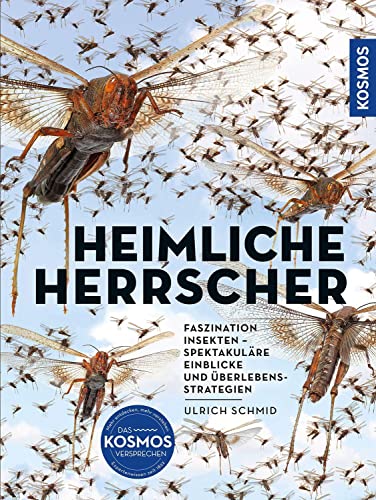 Beispielbild fr Insekten - Heimliche Herrscher zum Verkauf von Blackwell's