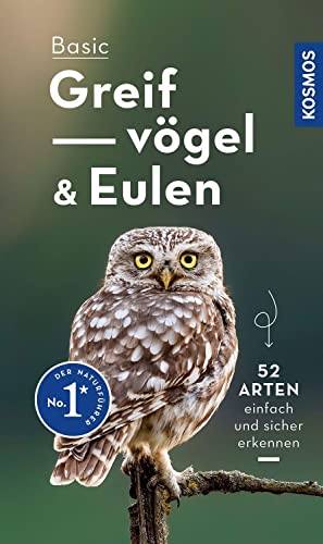 Stock image for Basic Greifvgel und Eulen for sale by Blackwell's