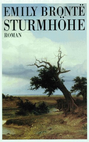 9783442076765: Sturmhhe (Roman)
